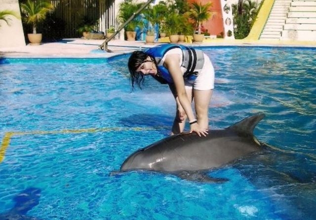 Acrobacia con delfines